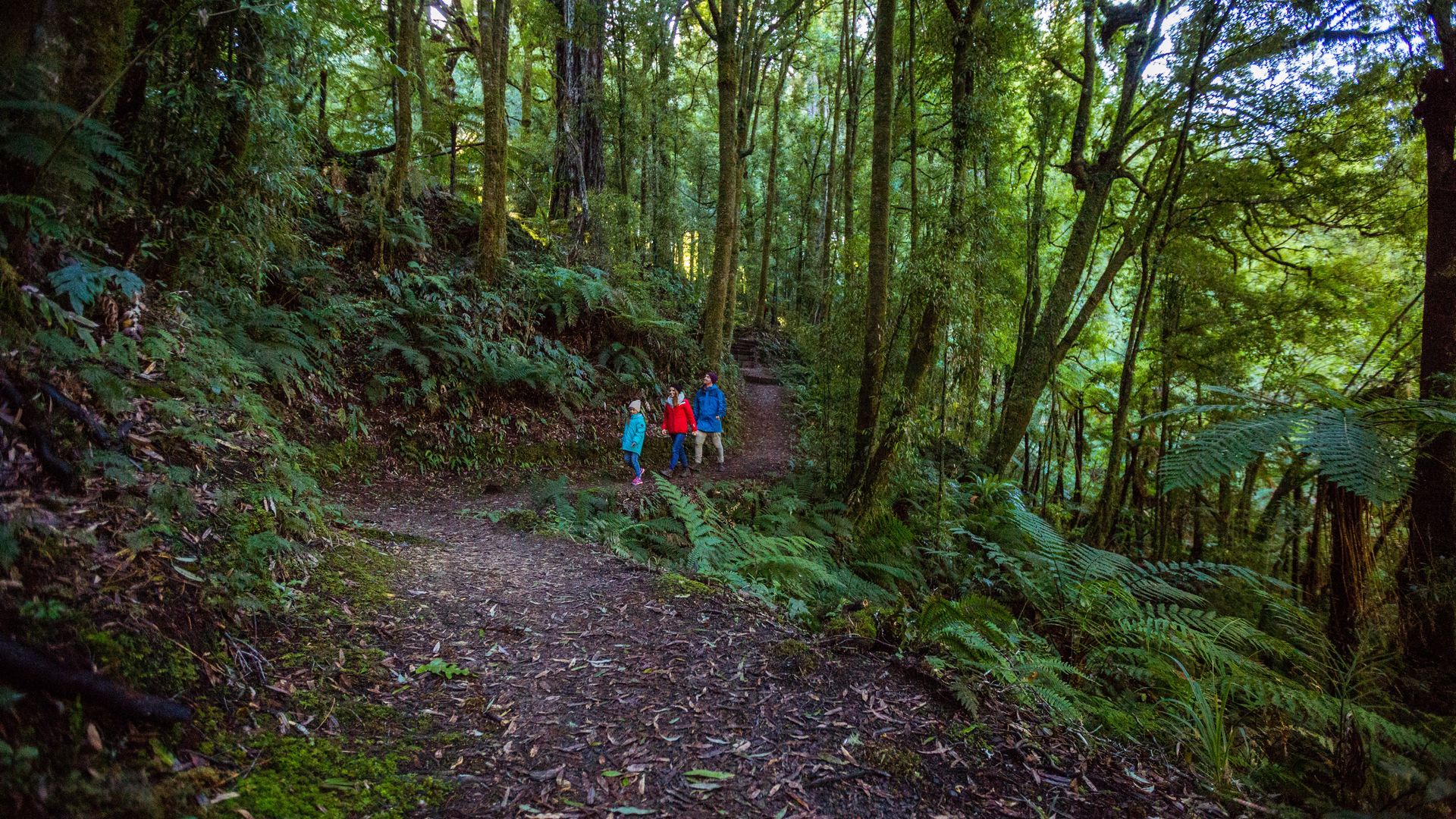 Family walking the Ohinetonga Track - Visit Ruapehu.jpg